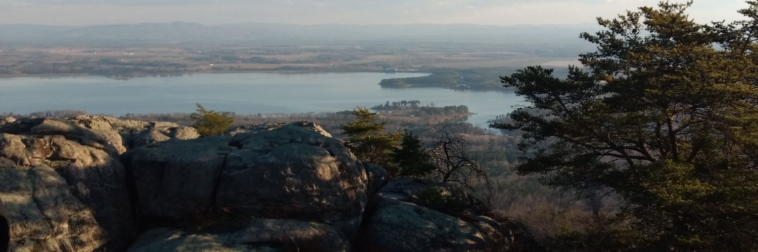 cherrydee's profile banner image