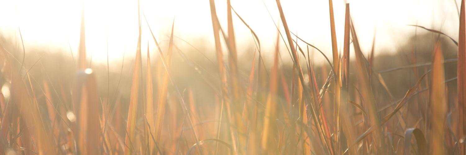 GrahamvdR's profile banner image