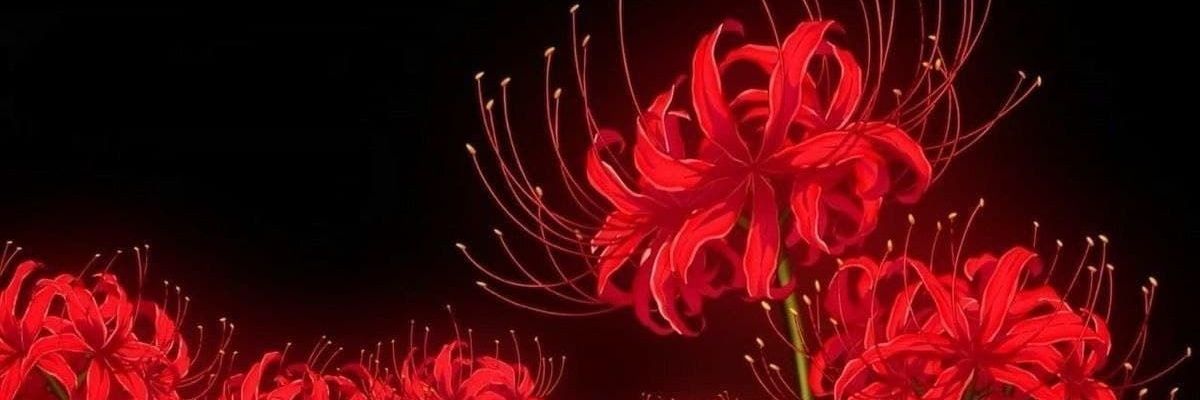 faraonnna's profile banner image