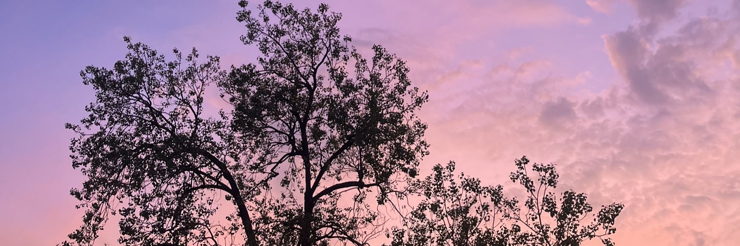 Alan_Gamboaa's profile banner image