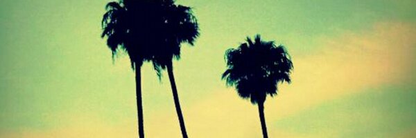 diego4vila Profile Banner