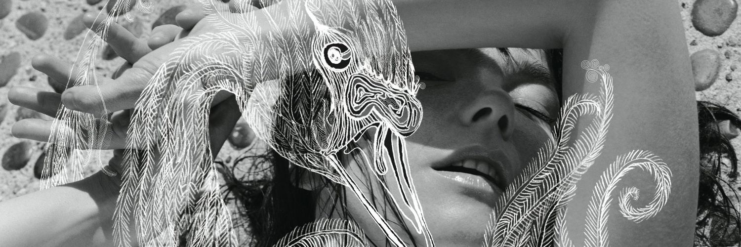 mribeirom_'s profile banner image