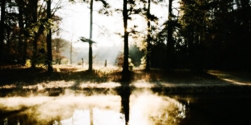selenallgdr's profile banner image