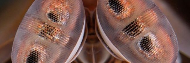 Bristol Vision Institute banner