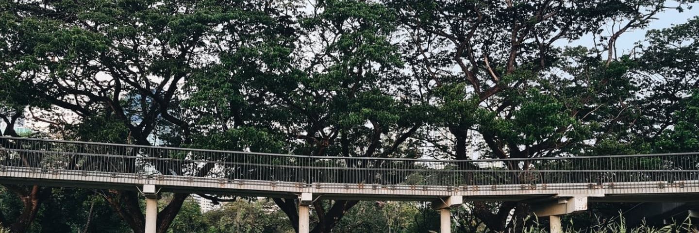 ploypornchanok's profile banner image