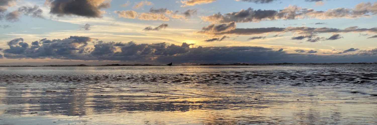 Gerben van den Bergh banner