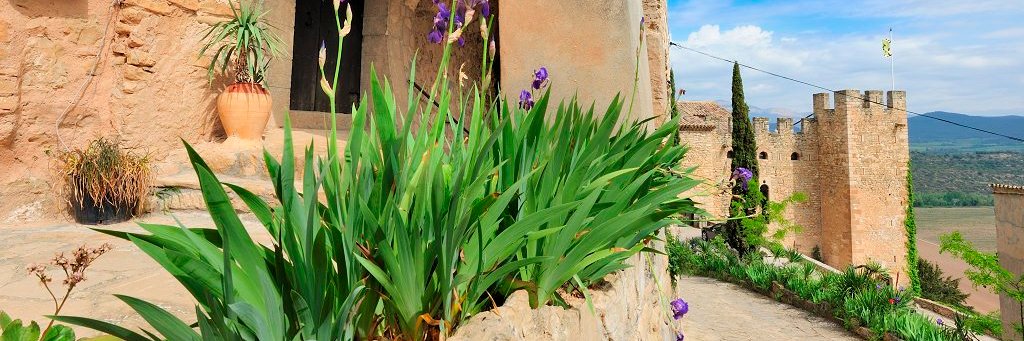Castells de Lleida banner