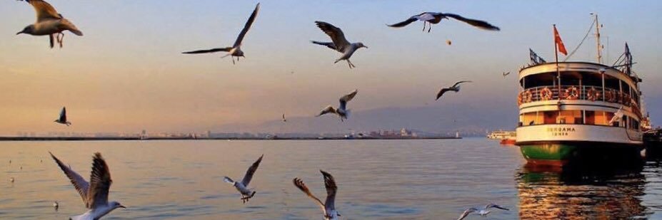 ElfinTataroğlu banner