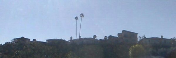 taeshaun6 Profile Banner