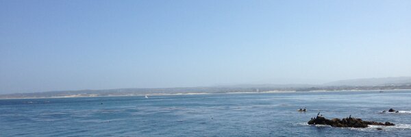 alimab Profile Banner