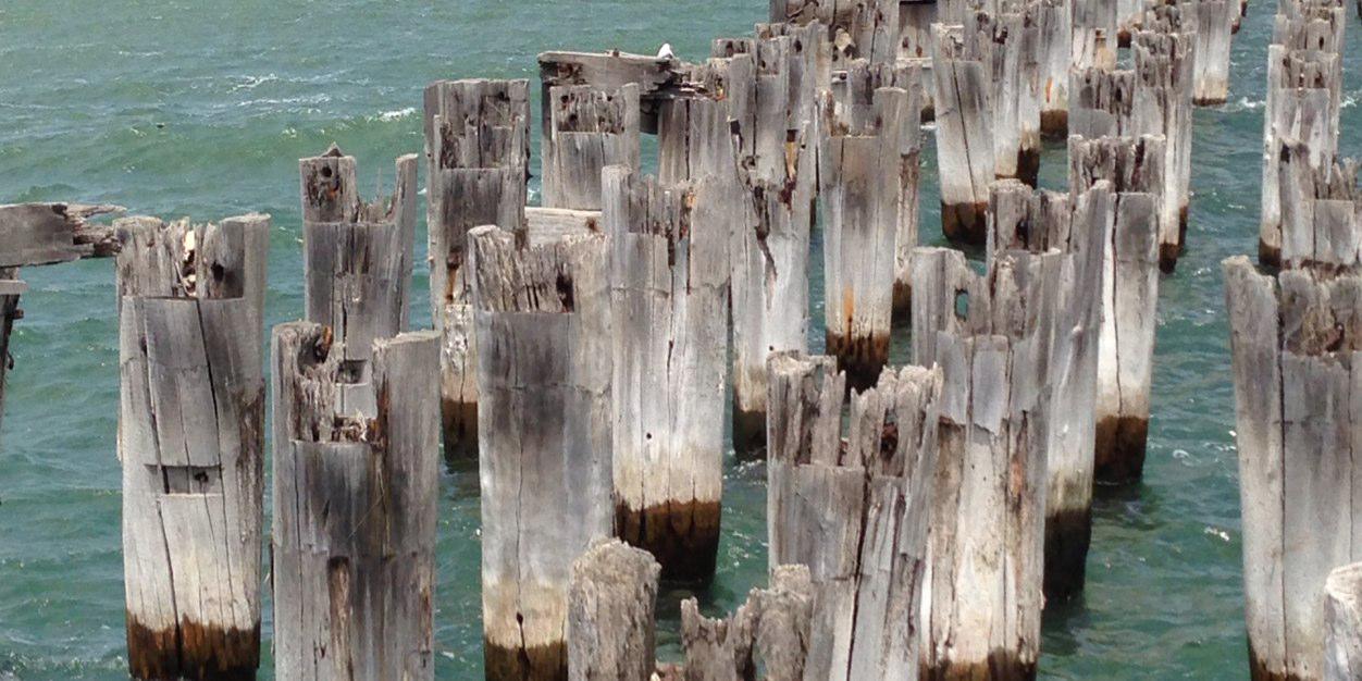 Rebekka Allen banner