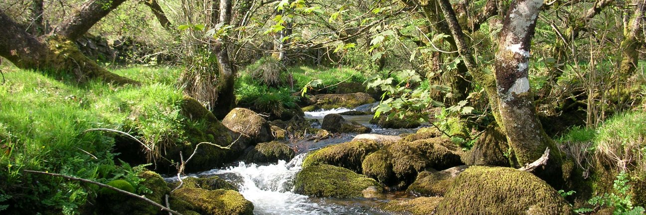 Suze #WATON#ProEU#FBPE#FBPA#Prophetofdoom#GTTO banner