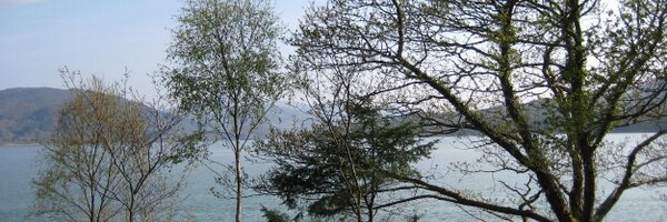 dvernalls Profile Banner