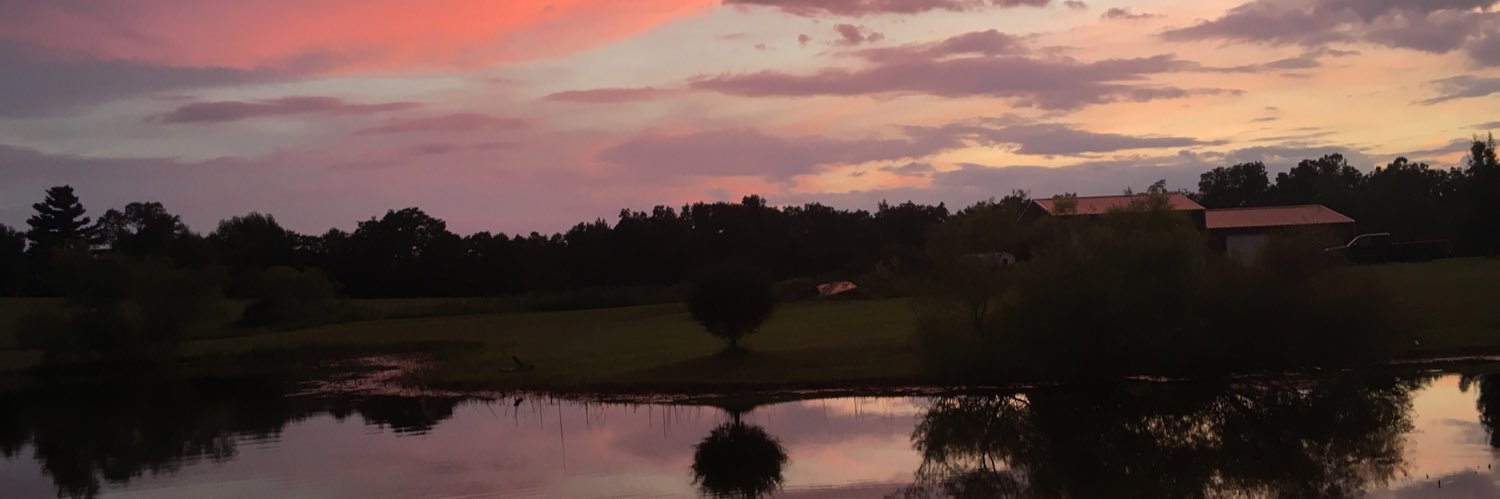 gallxee's profile banner image