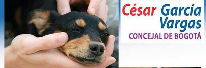 cesargarciav's profile banner image