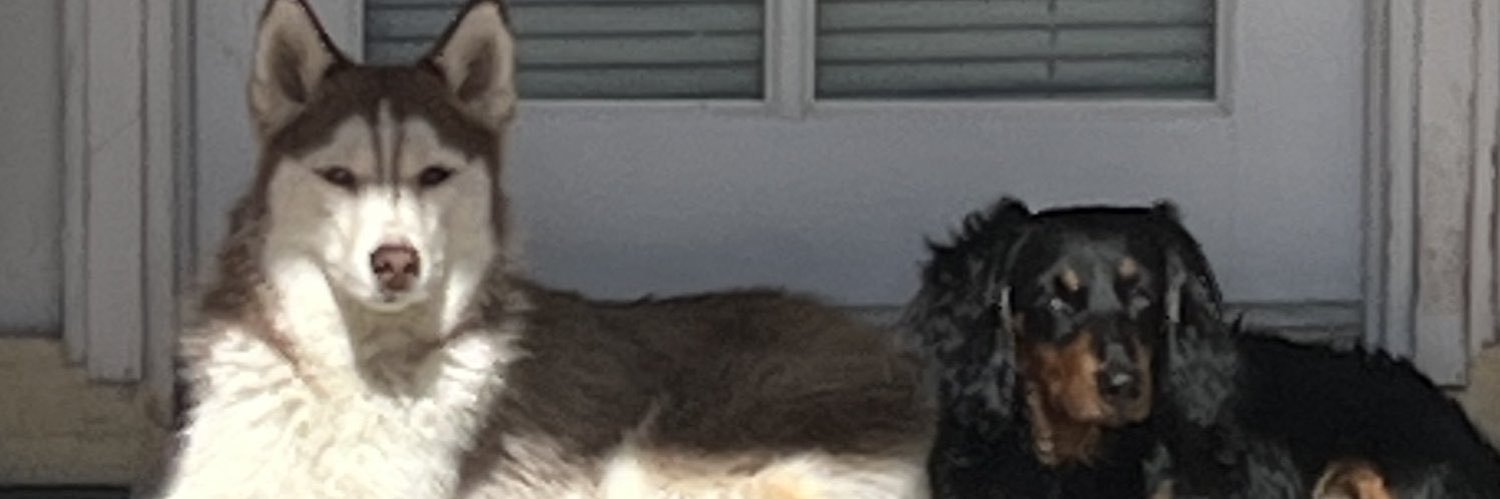 ZaynePrivate's profile banner image