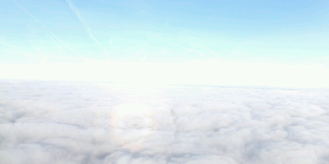 piityan1126's profile banner image
