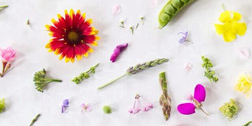 yennjose's profile banner image