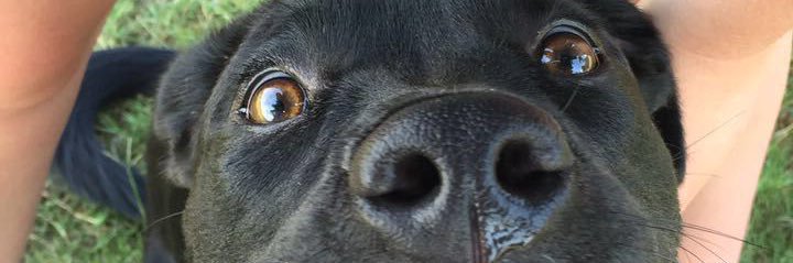 rgstrange17's profile banner image