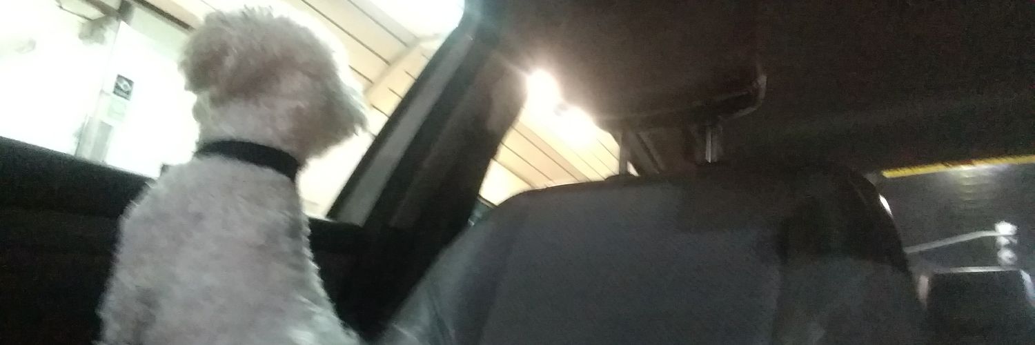 facundo lemos banner