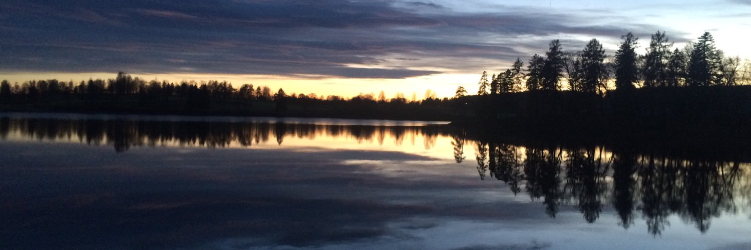 Kristin Vetleseter banner