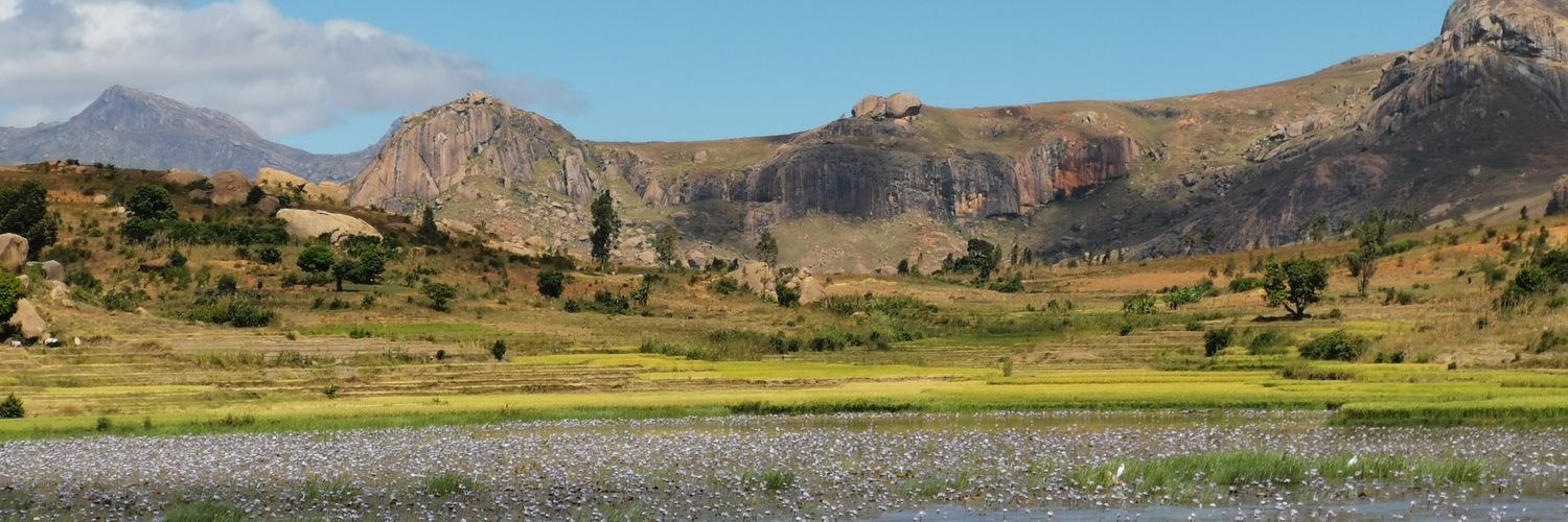 LorenaBoccuto's profile banner image