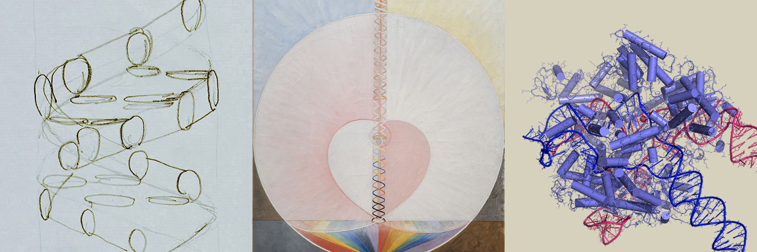 KT Pickard 💉x 5 banner