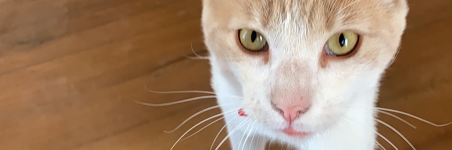 carit_'s profile banner image