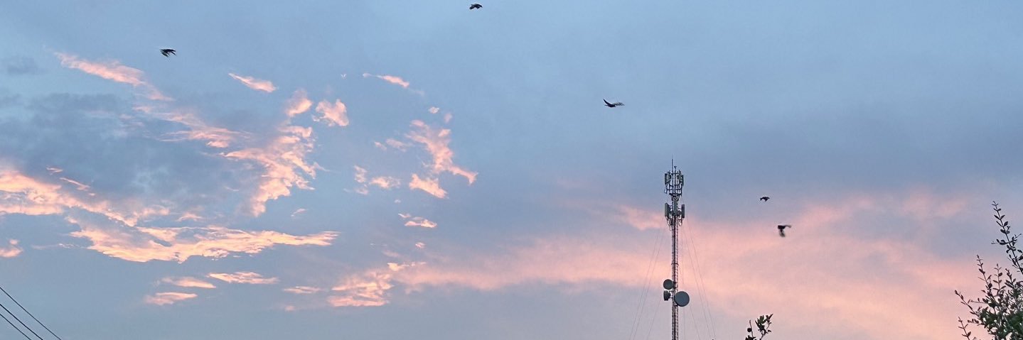 mayzaround's profile banner image