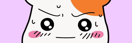 minun1234's profile banner image