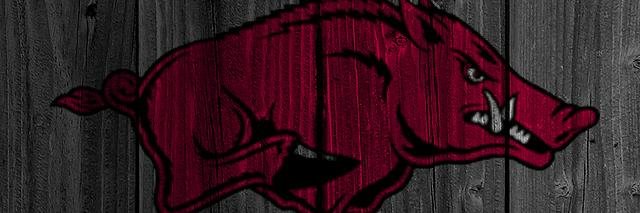 m_hogsfan's profile banner image
