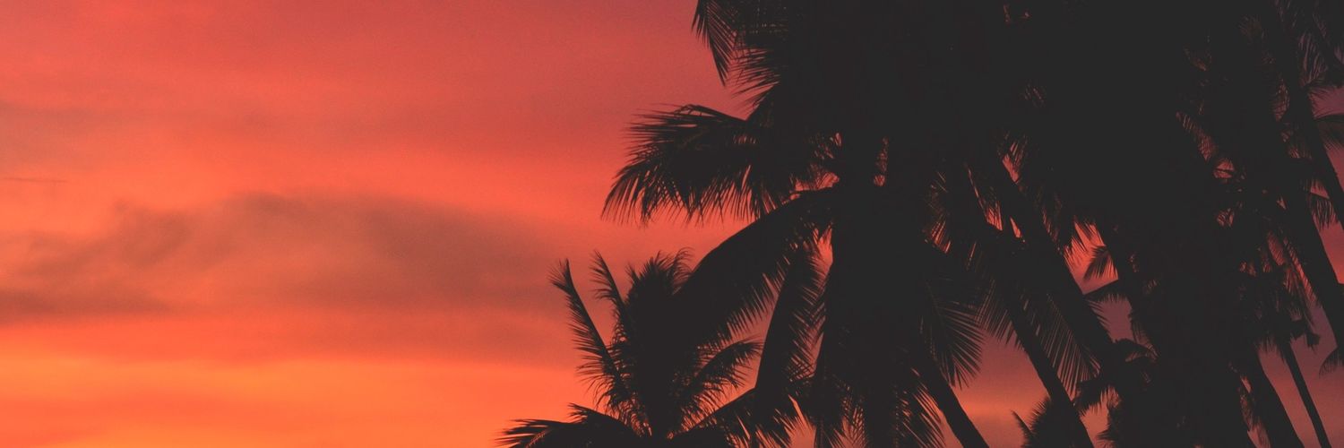 morgane_peace's profile banner image