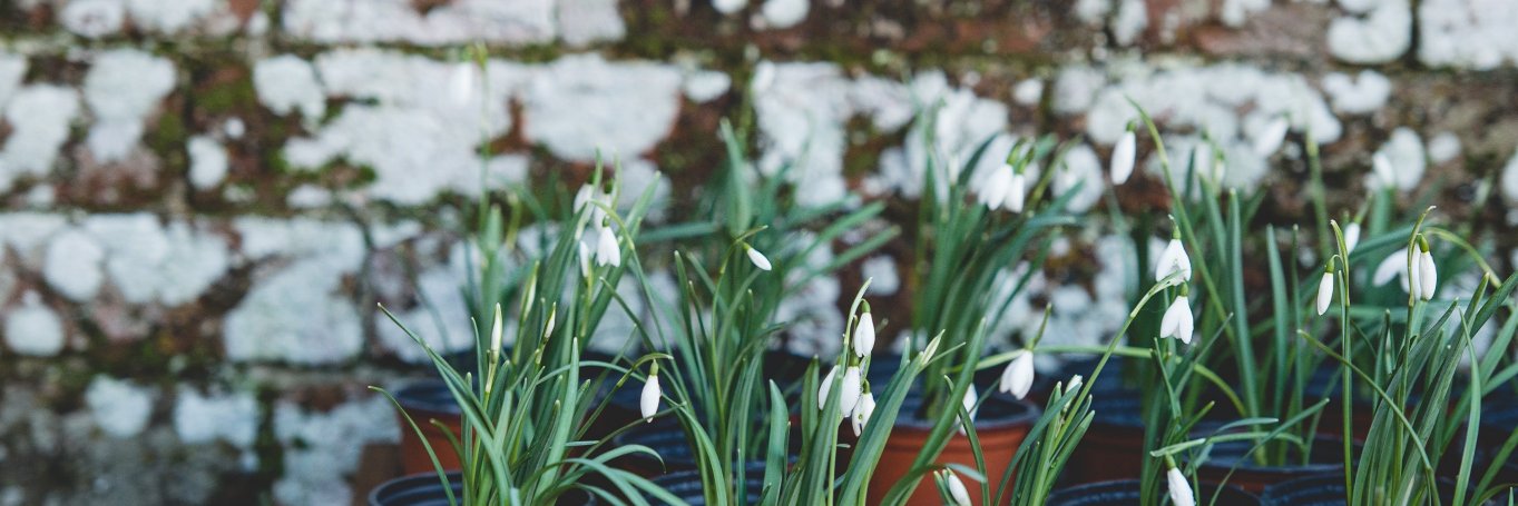 St George's Tufnell Park banner