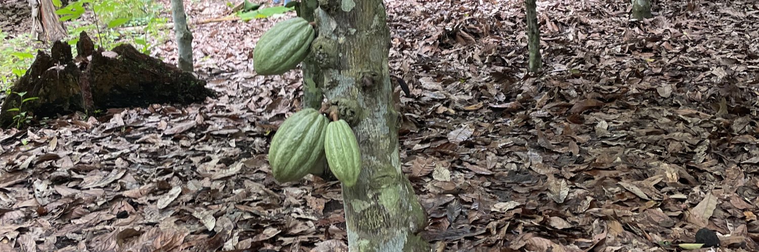 Eduardo Chavez banner