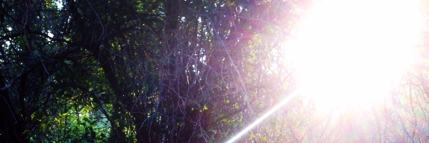 kan_flan's profile banner image