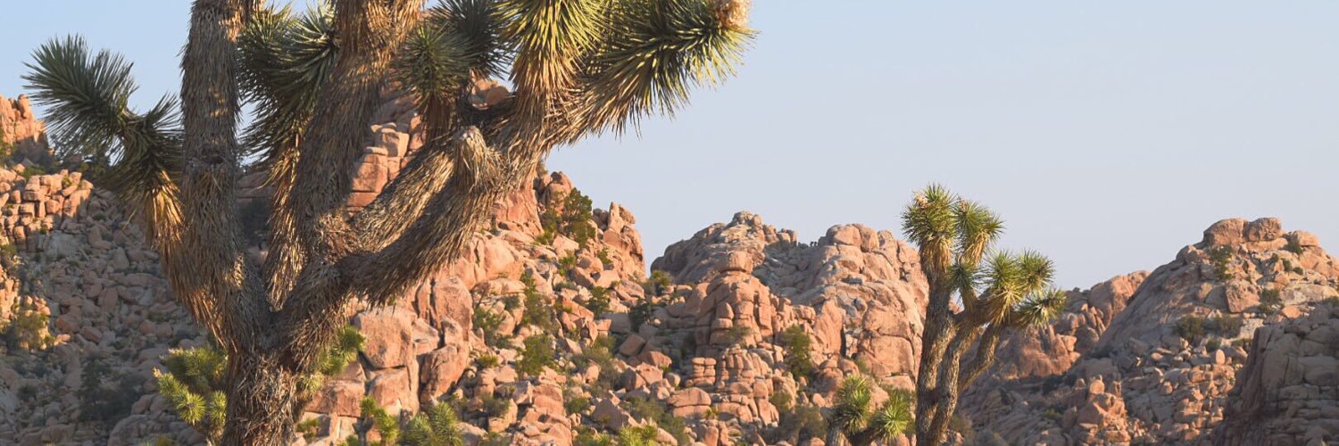 Niickalodeon's profile banner image