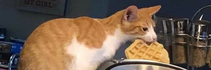 ohmynt's profile banner image