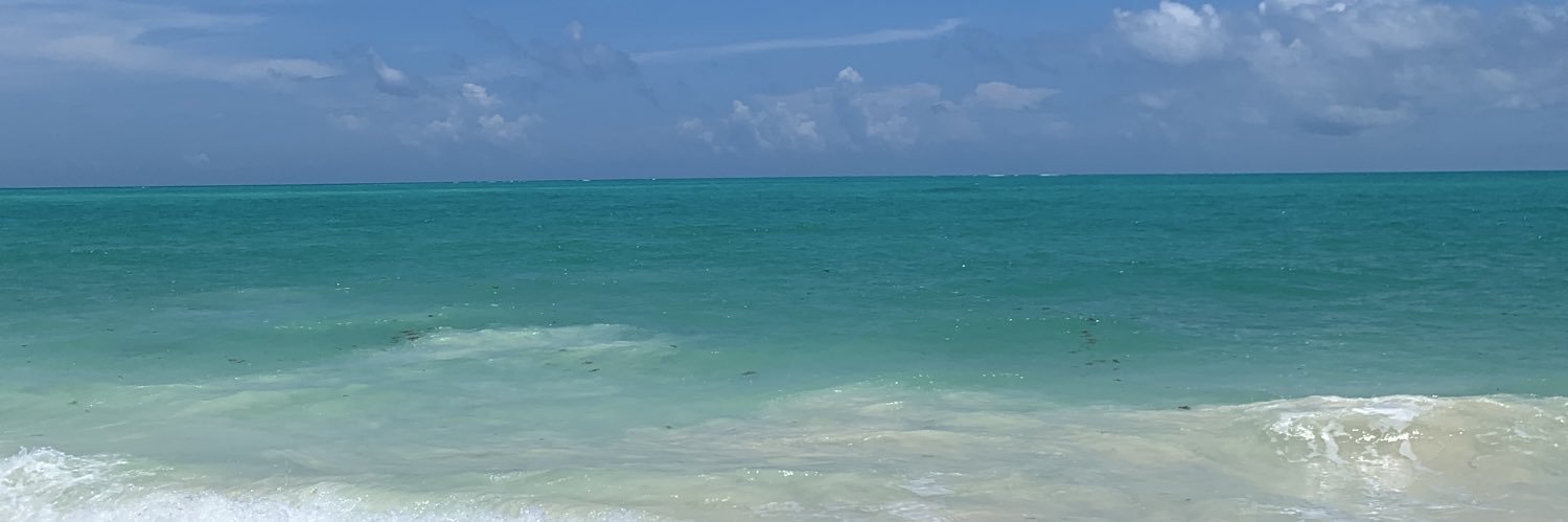 cecesitayo's profile banner image