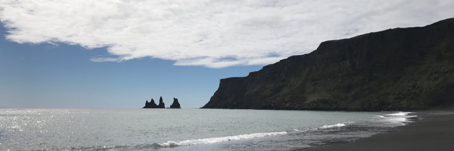 danylav's profile banner image