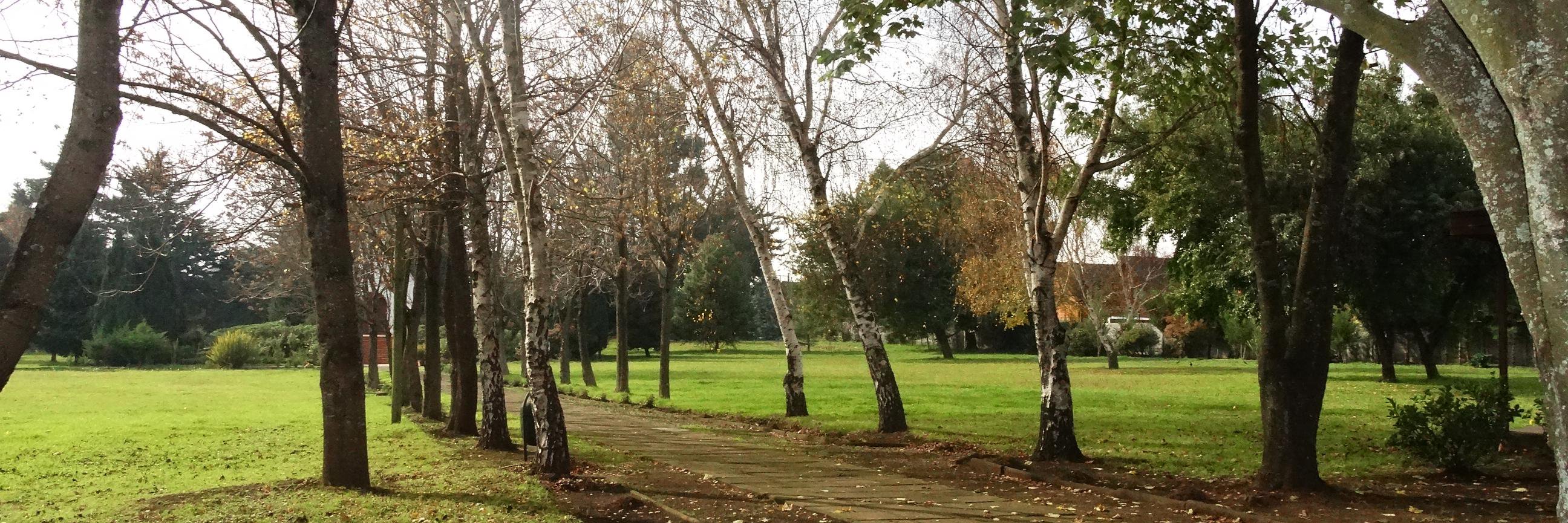 Hugo Caracciolo banner