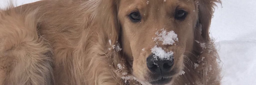 danidelfa's profile banner image