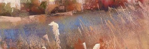 debbietoo's profile banner image