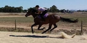 Genevieve Browne banner