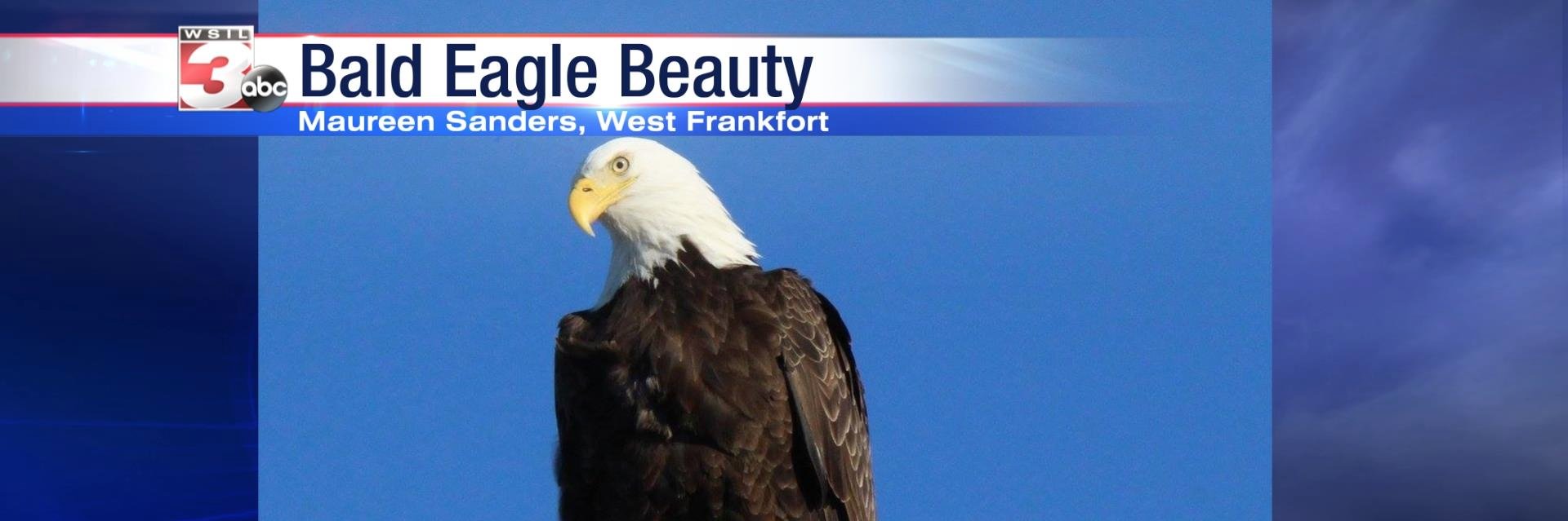 News3ThisAM's profile banner image