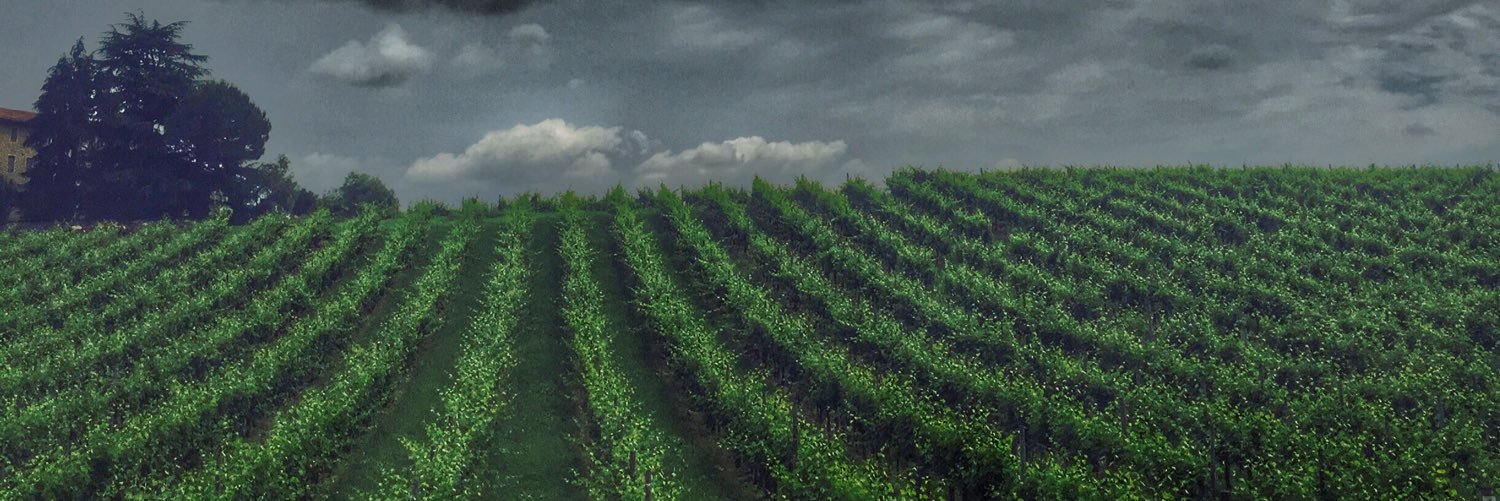 reborntour's profile banner image