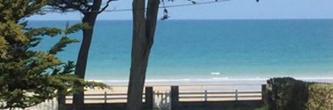 NettyMoy's profile banner image