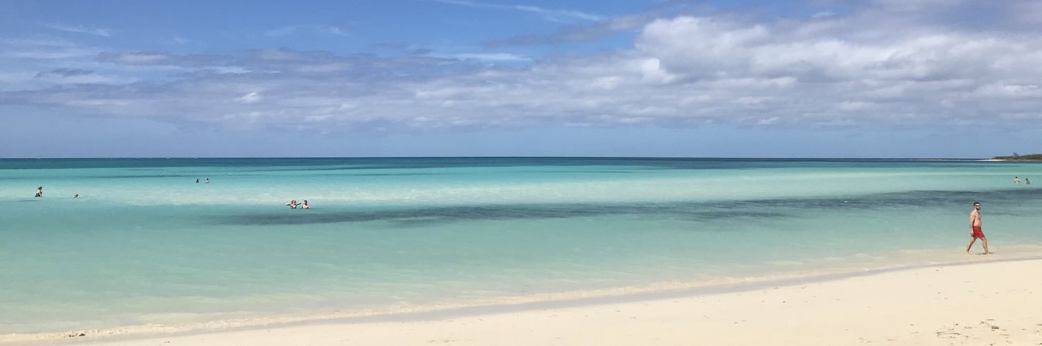 AndreaBoreal's profile banner image
