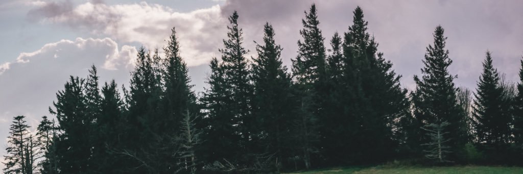 Gracie_Wiley's profile banner image