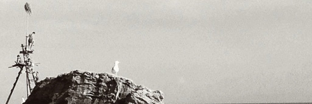 sinmerank's profile banner image
