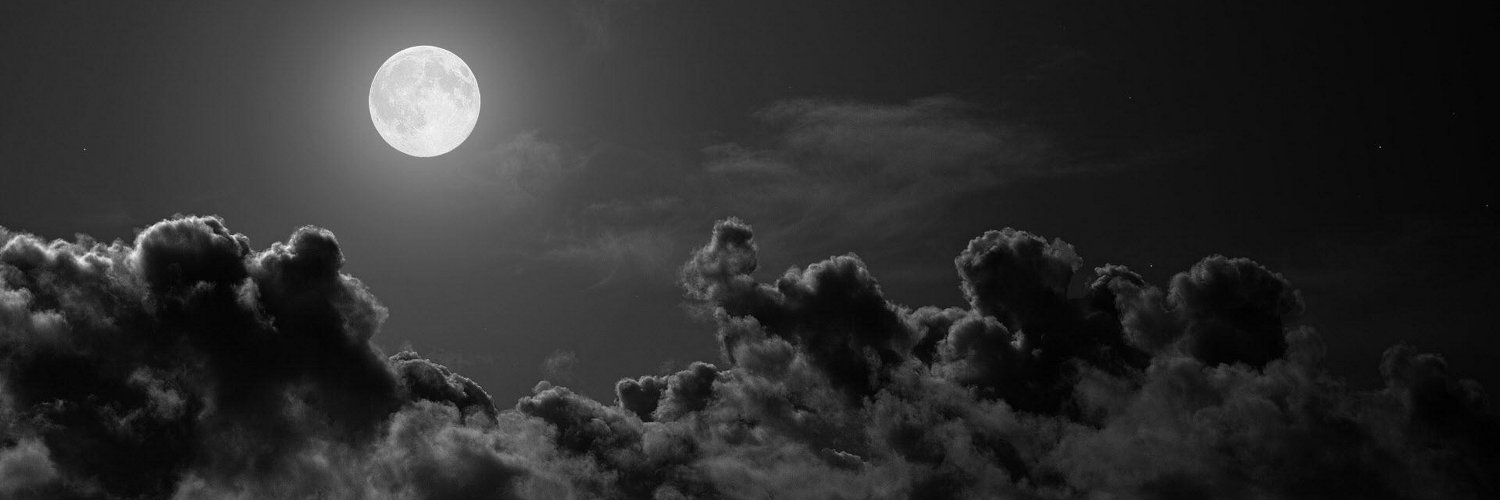 igor_uaru's profile banner image